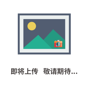 雙板陶瓷氣動(dòng)閥-品牌認證